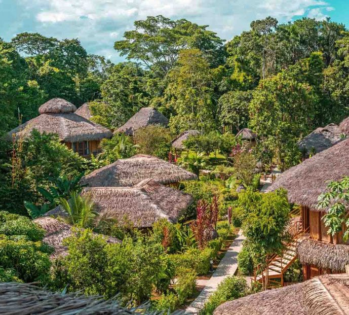 Yasuni National Park, Orellana Province, Ecuador